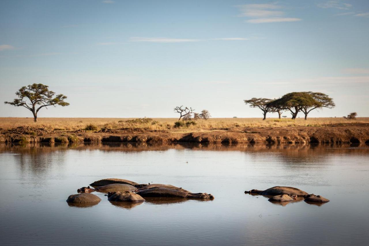 Serengeti Mawe Camp Exterior foto