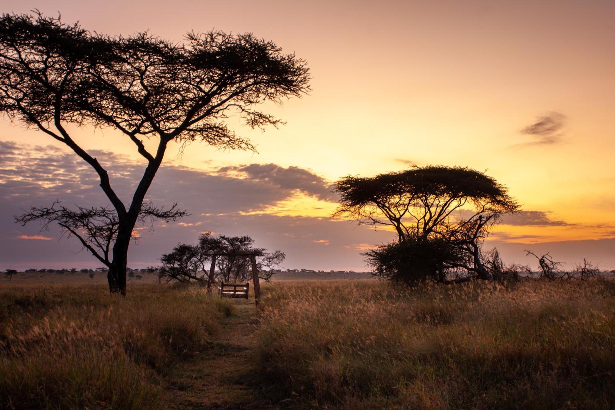 Serengeti Mawe Camp Exterior foto